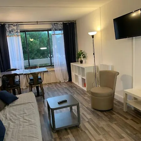 Διαμέρισμα Grand Studio, Piscines, Proche Le Grau-du-Roi