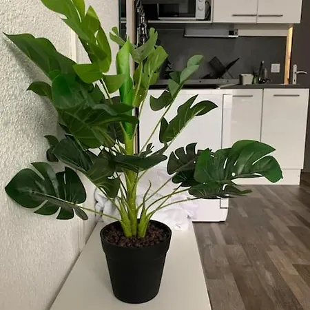 Grand Studio, Piscines, Proche * Le Grau-du-Roi